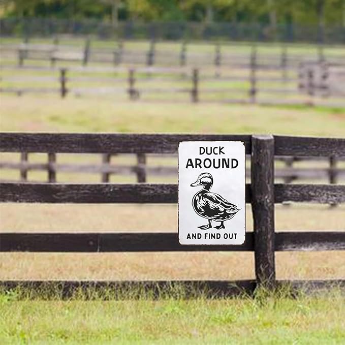 Metal Signs Duck Around And Find Out Sign Vintage Aluminum Tin Sign for Home Farmhouse Farm Wall Decor 12x8 Inch