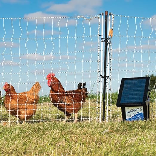 Premier 1 PoultryNet® Plus, 42"H x 100'L Electric Fence Starter Kit | Extra Line Posts to Reduce Sag | Includes: Solar Energizer, FiberTuff™ Support Posts and Tester | White/Black