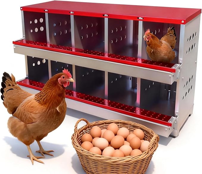 GarveeLife Wall-mountable Roll Away Metal Chicken Nesting Box for Laying Eggs, Rustproof Chicken Laying Boxes for Hens, Ventilated with Perch, Waterproof (Red, 10 Compartments with 10 Fake Eggs)