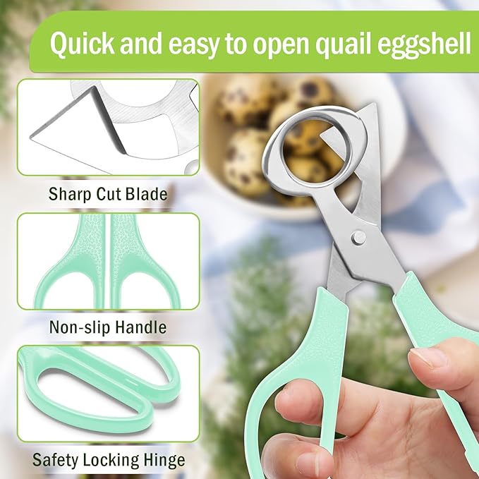 AHIER Pigeon Quail Egg Cutter Scissors Stainless Steel Blades Bird Cutter 2 Pack