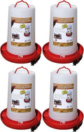 Farm Innovators 4 Pack Heated Chicken Waterer, Poultry Water Fountain, 3 Gallon