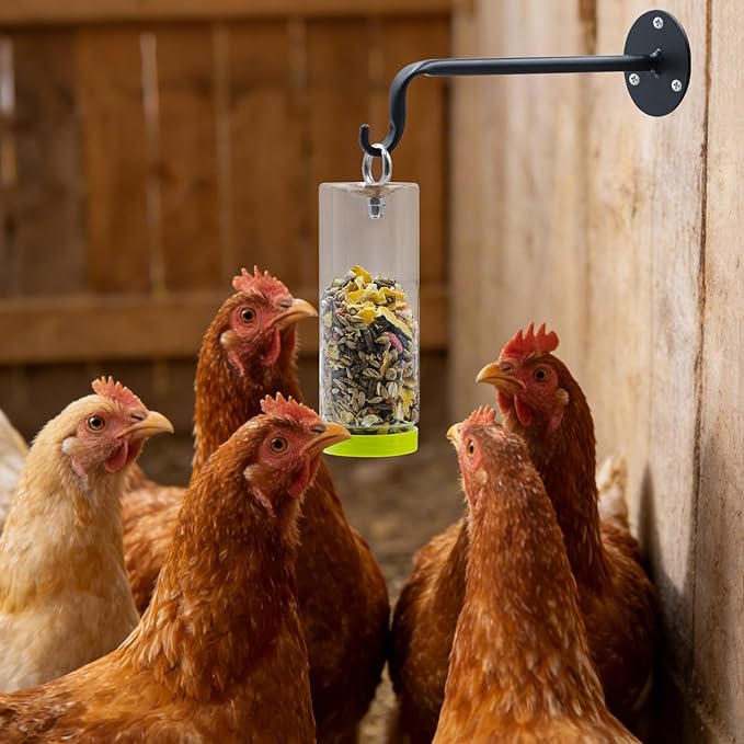 Chicken Toys for Coop, Transparent Plastic Swing Treat Dispenser with Wall-Mounted Metal Hook, Chicken Enrichment, Enrichment Toys for Hen, Duck, Goose and Other Poultry