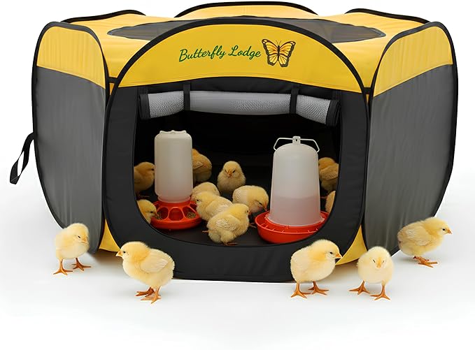 Chicken Brooder Box for Chick Starter Kit - 45" Brooder Box for Chicks - Large Chicken Brooder and Pet Tent - Brooder Box with Feeder, Waterer, and Cleaner - Chicken Box for Indoor Use
