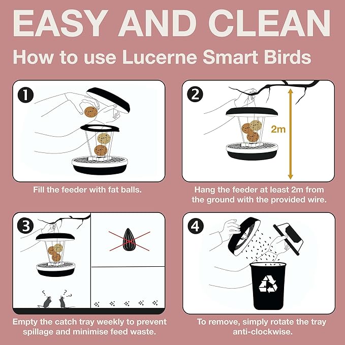 SWISSINNO Bird Feeders - No Mess Fat Ball/Suet Feeder for Outdoors Hanging - Smart Birds Lucerne Spill Proof Wild Cardinal Bird Feeder with Integrated Seed Catcher Tray - Dusty Rose