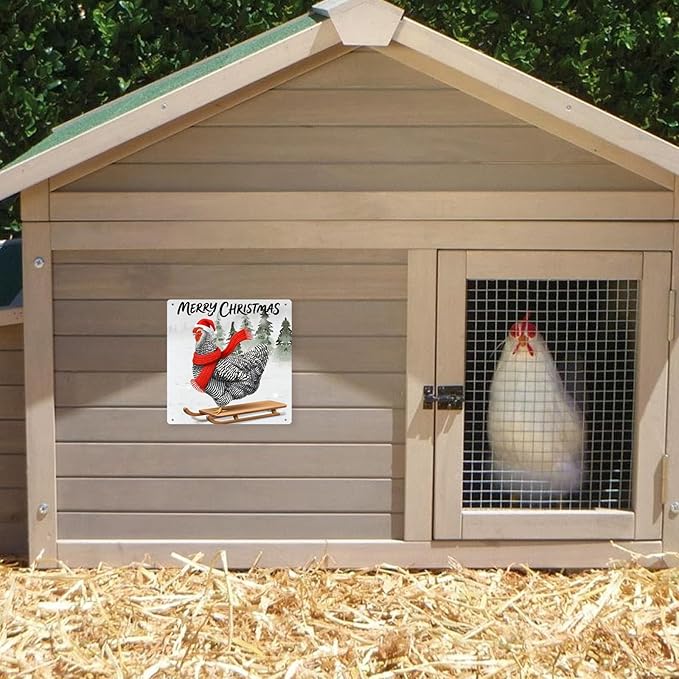 Funny Chicken Kitchen Decor Farmhouse Christmas Wall Decor Country Kitchen Decoration Gifts For Chicken Lover 8×8 Tin Sign
