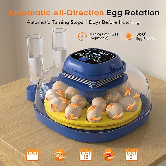 18-33 Egg Incubator for Hatching Eggs, Automatic Egg Turning, Egg Candler, Temperature/Humidity Control, Incubator for Hatching Chicken, Quail, Duck Eggs, 360° Clear View for Home, Classroom, Farm
