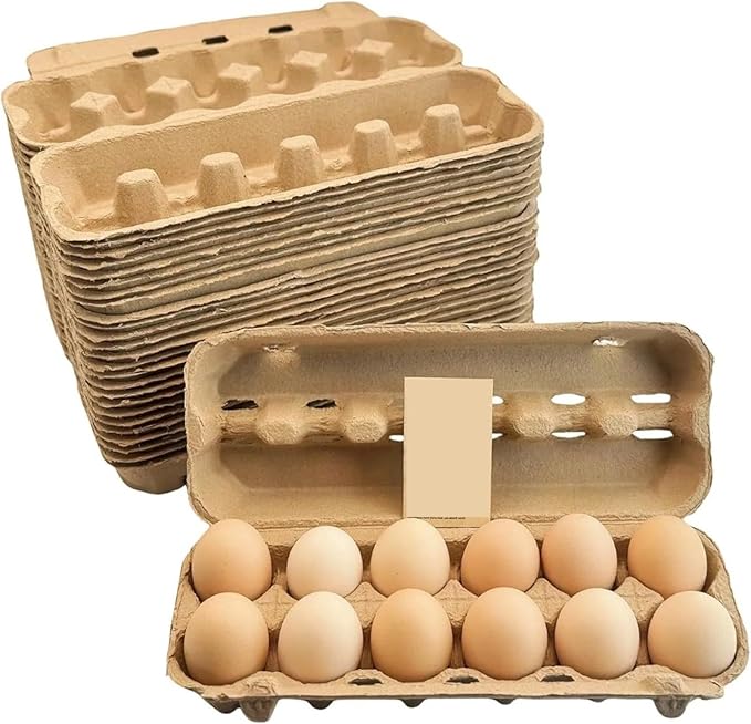 Biodegradable Paper Pulp Egg Cartons for 12 Standard Eggs, Shockproof Protection with Clear Viewing Window and Snap Closure, Kitchen Storage Organizer for Farm Fresh Eggs, Refrigerator or Pantry-Use