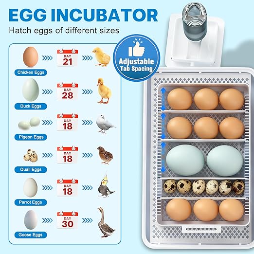 Incubators for Hatching Eggs 15-35 Eggs Incubator with Automatic Egg Turning and ℉Temperature Display LED Candler Poultry Incubator for Hatching Chicken Duck and Quail Incubator (Blue)