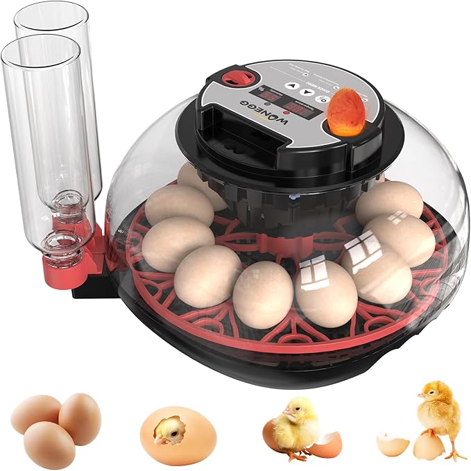 Wooden Chicken Brooder Kit & Automatic Incubator - Complete Poultry Raising Starter Solution, from Hatching to Brooding!