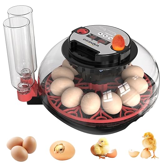 12 Egg Incubator for Hatching Chicken/Quail/Duck Eggs, Auto Turning, Digital Humidity/Temp Control, LED Candler, Auto Water Refill, 360° View (Smart Sensor)