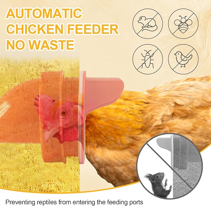 Automatic Chicken Feeder Large Capacity 25lbs Metal Chicken Feeder with Latch & Handle for Chickens, Geese, Ducks, Turkeys, Quails, Weatherproof (4-Port)