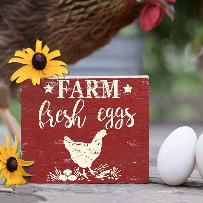 GSS Designs Farm Fresh Eggs Stencil (12x12 Inch) Farm Chicken Sign for Kitchen Wood Wall Home Decor Country Rustic (SL-090)