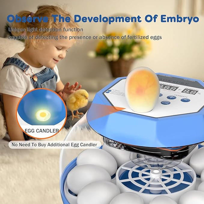 Automatic Egg Incubator with Turner & Humidity Control, 12-24 Egg Capacity, 360° View Clear Top, Poultry Hatcher for Chicken, Duck, Quail & Bird Eggs (E12 New)
