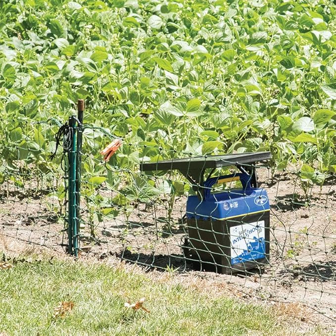 Premier 1 VersaNet® Plus, 20" H x 50'L Portable Electric Garden Net Fence with Built-in Posts | 2" x 2" Strand Spacing at Bottom to Keep Rabbits, Raccoons & Varmints Out of Gardens | Green/Black