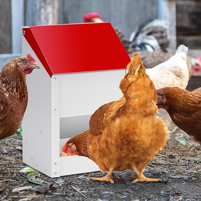 Automatic Chicken Feeder 10lbs Metal Chicken Feeder No Waste Wall Mounted Poultry Feeder Trough with Scoop for Chickens Ducks Quail Geese Pet