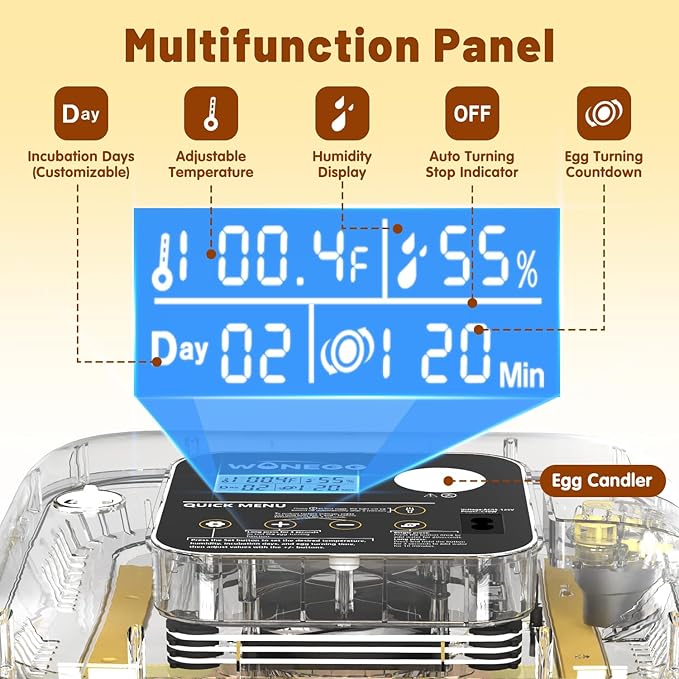 Incubator for Hatching Eggs, 12 Eggs Incubator with Automatic Egg Turning, Temperature & Humidity Control, LED Egg Candler, Incubation Days Display, for Chicken, Duck, Quail, Parrot Bird Eggs