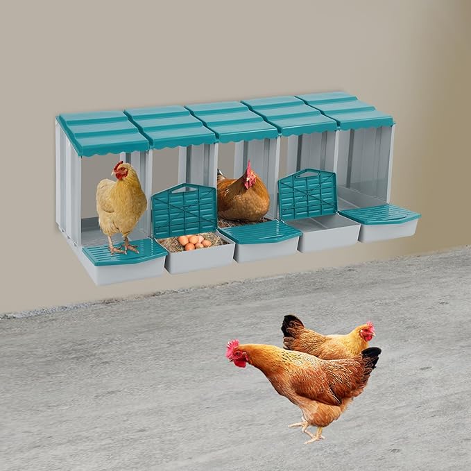 Chicken Nesting Boxes 5 Compartment PP Nesting Box with Inclined Nesting Boxes & Vented Holes Wall Mount Chicken Laying Boxes for Chicken Coop (Green)