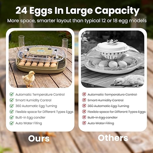 Incubators for Hatching Eggs,24 Eggs Capacity with Automatic Turning, Accurate Temp & Humidity Control, Egg Candler, Air Vent, and 360° Viewing for Chicken, Duck, Quail & Goose Eggs