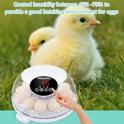 Egg Incubator for Hatching Chicks, Holds 12 Eggs, Automatic Egg Turner with Temperature, Humidity Display, Egg Candler, Automatic Egg Turner, 360 Degree View with Clear Window