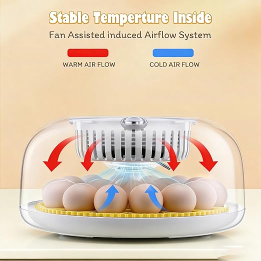 Sailnovo 18 Egg Incubator for Hatching Eggs with Automatic Egg Turning and Humidty Display, Temperature Control,360° Clear View, Egg Incubator for Hatching Chickens,Ideal for Farm,School and Lab