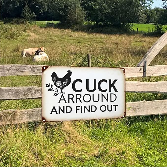 Funny Chicken Gifts Chicken Cluck Around and Find Out Tin Sign for Home Farm Chicken Coop Farmhouse Kitchen Garden Decor 12 X 16 Inch