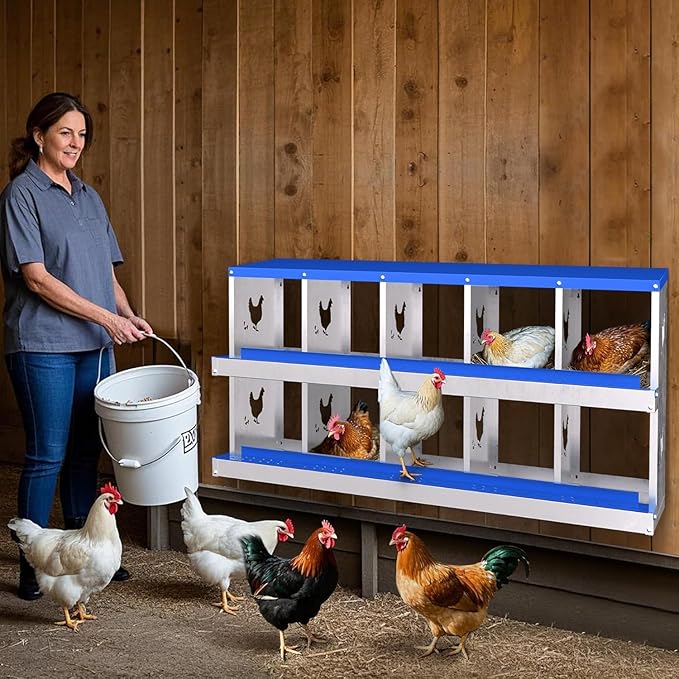 Chicken Nesting Box, 10 Compartments Laying Boxes for Chicken Hens Poultry Protect Eggs Chicken Coop Wall Mount Metal Nest Box for Chicken Coop
