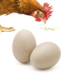 SunGrow Fake Wooden Eggs to Train Birds from Laying in The Nesting Boxes & to Stop from Eating Own Eggs, Brown Color, 2 Pack Suitable for Chicken and Duck