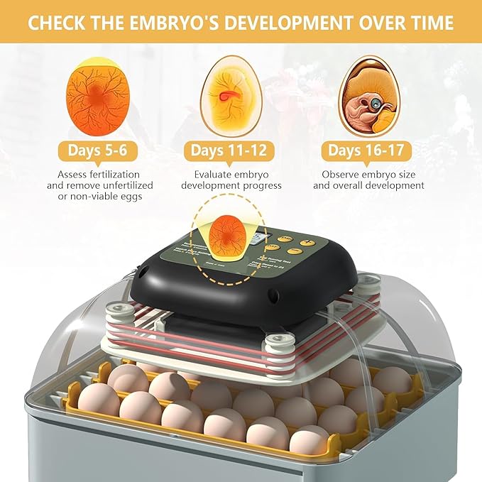 MIKIROY Chicken Egg Incubator with Automatic Egg Turning, Humidity Control, Temperature Control, and Egg Candler – Incubators for Hatching Chicken, Duck and Quail Eggs, Holds 24 Eggs (Gray)