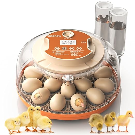 18 Egg Incubator, Automatic Turning with Temperature & Humidity Control, Egg Candler, 360 View with Air Vent, Auto Water Bottle Refill, Chicken Incubator for Hatching Eggs