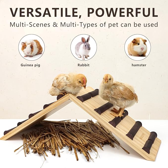 Chicken Perch and Ramp Trainer, 2 in 1 Sturdy Wooden Chicken Roosting Bar, Baby Chick Toys for Brooder, Chicks Coop Accessories,Training Perch for Chick Small Animal, Easy to Assemble