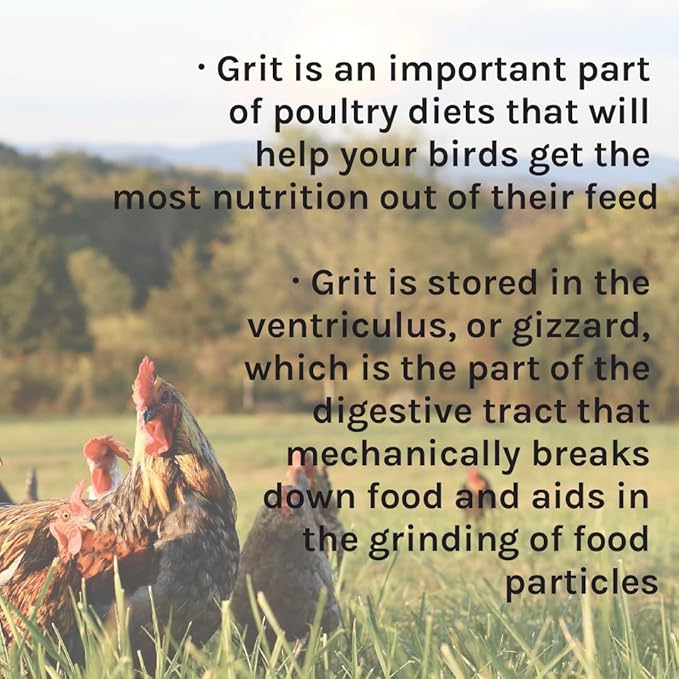 New Country Organics | Flock Perfect Starter Grit for Chicks to Help aid in Digestion | 8 lbs