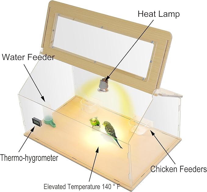 25~40 Newborns Chick Brooder Box Quail Cage Bird Playground Egg Incubator Chick Starter Kit Tortoise Habitat