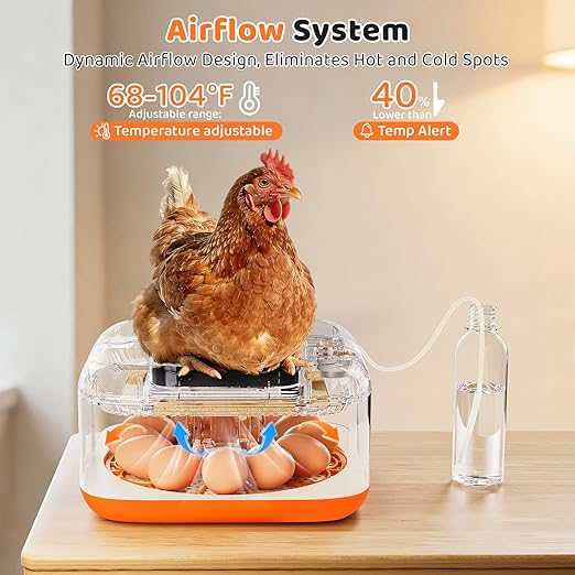 Incubators for Hatching Eggs 12 Egg Digital Egg Incubator Precision Auto Temp Humidity Control 6 Gear Adjustable Auto Turner Auto Stop Turning Hatching Days Display for Chicken Duck Goose Eggs