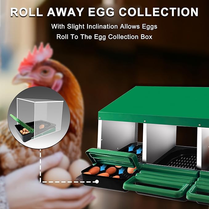 Chicken Nesting Box, 3 Compartments Chickens Egg Laying Nest Boxes for Hens Green