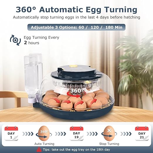 Incubators for Hatching Eggs, 18 Eggs Incubator with Egg Candler, Auto Egg Turner, Temp Control &Humidity Display, Hatch Day, Auto Water Refill, 2 Size Egg Tray, 360° Viewing for Chicken, Duck, Quail
