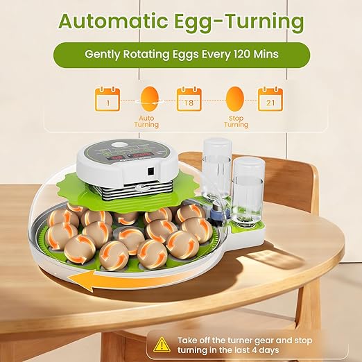 18-Egg Incubator with Automatic Egg Turning & Humidity Control, HD Panoramic View, Built-in Candler for Hatching Chicken, Duck, Quail Eggs Farms, Science Labs, Classroom, Home Use