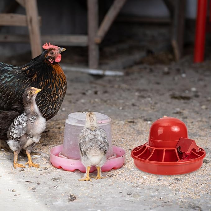 3pcs Automatic Poultry Waterer Chick Water Dispenser for Farm and Home Use Easy to Refill Clean for Chickens Quail and Small Birds