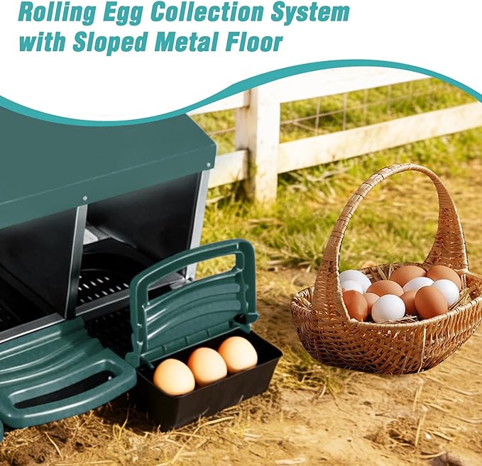 3-in-1 Roll Out Chicken Nesting Box with Removable Drawer – Green Metal Laying Nest for Hens, Easy Assemble, for Chicken Coop (Green)
