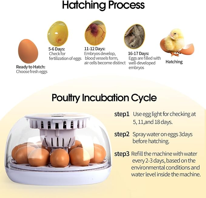 1st Nest - 12 Egg Incubator for Beginners, Auto Egg Turning, Consistent Humidity with Auto-Refill Water Bottle & Stable Temp Control for Hatching Chicken, Goose, Duck, Quail, Pigeon, and Turkey