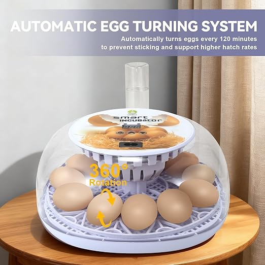 1st Gen - 12 Egg Automatic Incubator, Steady Humidity with Auto-Refill, Stable Temp Control, Auto Egg Turning, Candler, Real-Time Display for Hatching Chicken, Goose, Duck, Quail, Pigeon, and Turkey