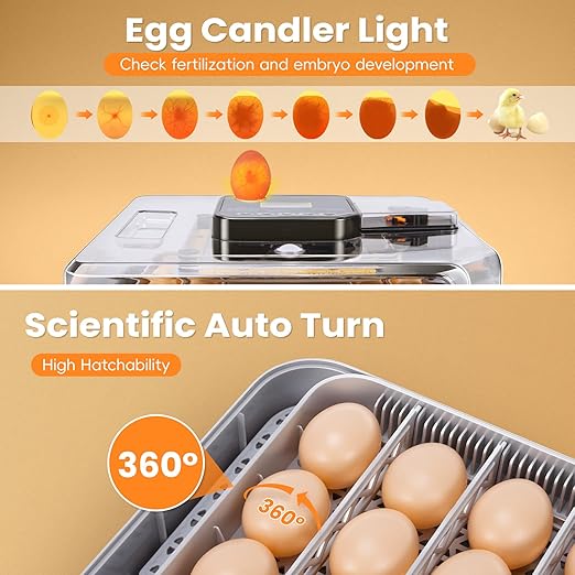 48 Incubators for Hatching Eggs, Egg Incubator with Automatic Egg Turning and Humidity Control, Temp Control, Egg Candler, Auto Water Refilling, Incubator for Chicken Eggs, Duck and Quail Eggs