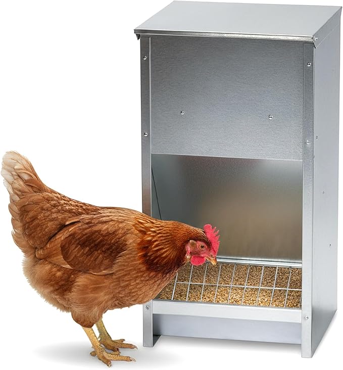 Plexon Steel Poultry Feeder 25lb Capacity – Galvanized Metal Chicken Feeder Turkey Duck Feed Dispenser Wall Mountable Outdoor - Grid to Reduce Waste, No Assembly