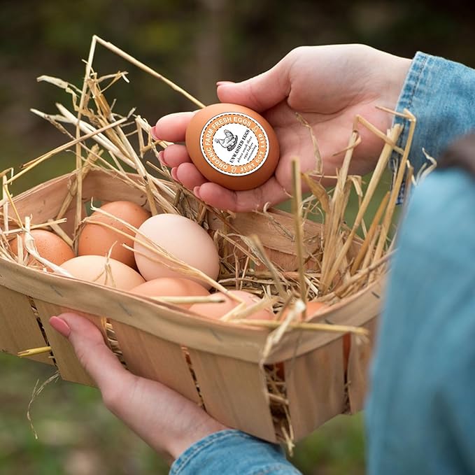 800PCS Unwashed Farm Fresh Egg Carton Stickers,2 inch Round Colorful Eggs just got Laid Carton Labels,self Adhesive roll Packaging Stickers for Farm Stand Supplies and Small Business