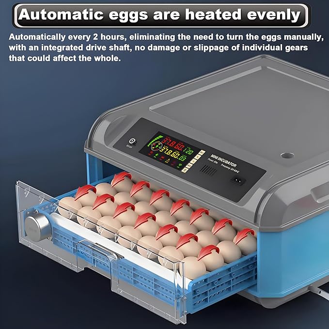 Egg Incubator - Automatic Turning, Humidity Control, Digital Display, for Hatching Chicken, Duck, Quail Eggs, Adjustable Capacity