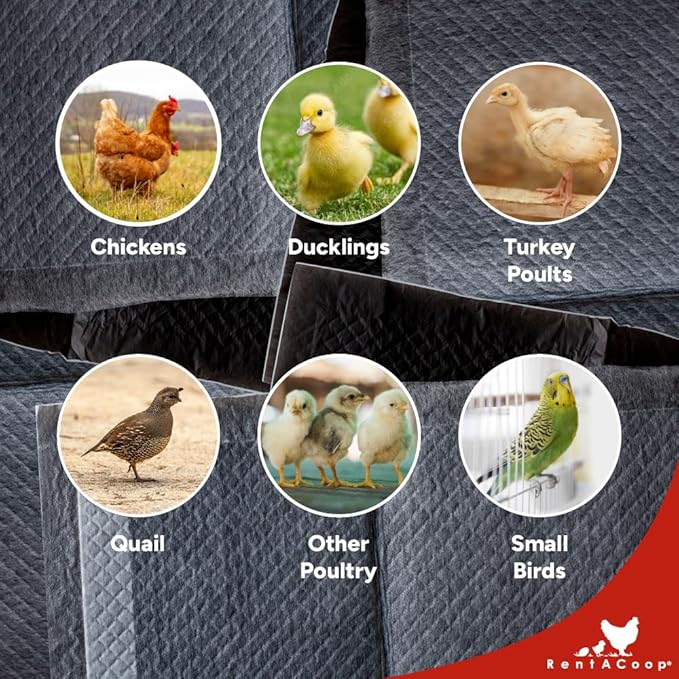 RentACoop Hatchling Liners for Little Red Barn Pack of 12 - Odor-Control Chick Brooder Pads - Absorbent, Leakproof Bedding for Baby Chicks, Ducklings, and More