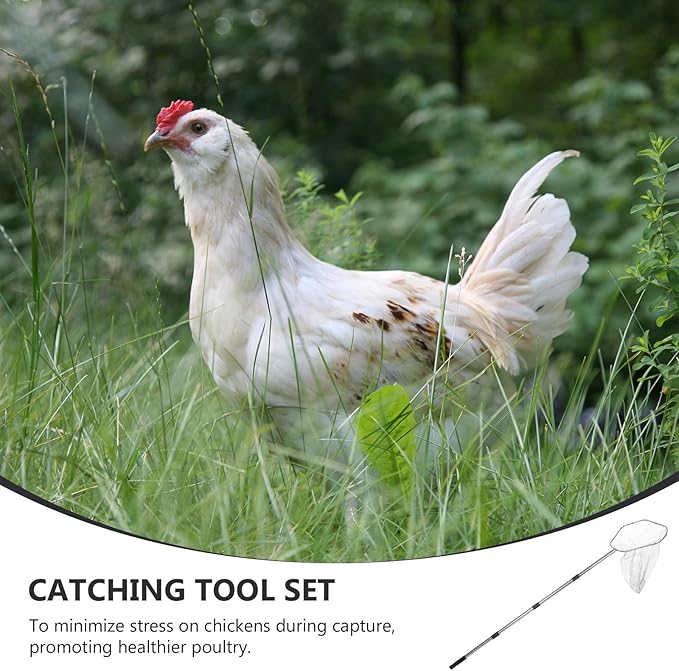 Hemoton Poultry Catching Net: Stainless Steel Chicken Net for Chickens Ducks Cats Dogs Fishnet Catcher Poultry Supplies