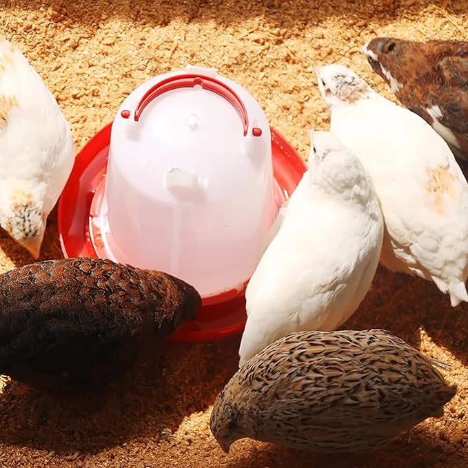 Chicken Feeder and Waterer Kit -1.5KG Poultry Chick Feeder and 1.5L Chicken Waterer with 2pcs “S” Hooks,Plastic Hanging Poultry Quail Feeder and Waterer Set for Coop