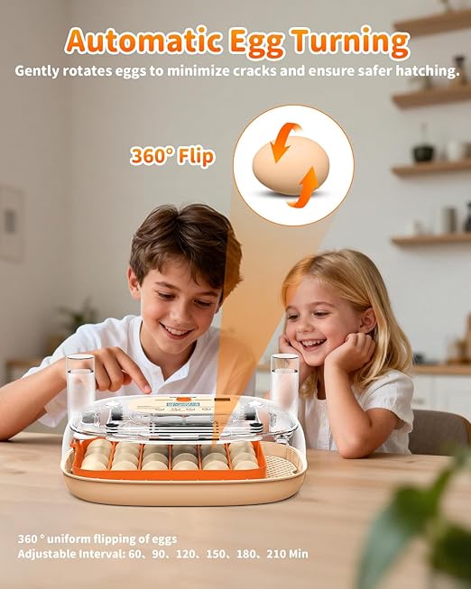Egg Incubator for 24 Chicken Eggs with Automatic Turner, Digital Temperature Control & Humidity Display, Candler, Poultry Hatcher for Chicken, Duck, Quail, Birds (Orange)