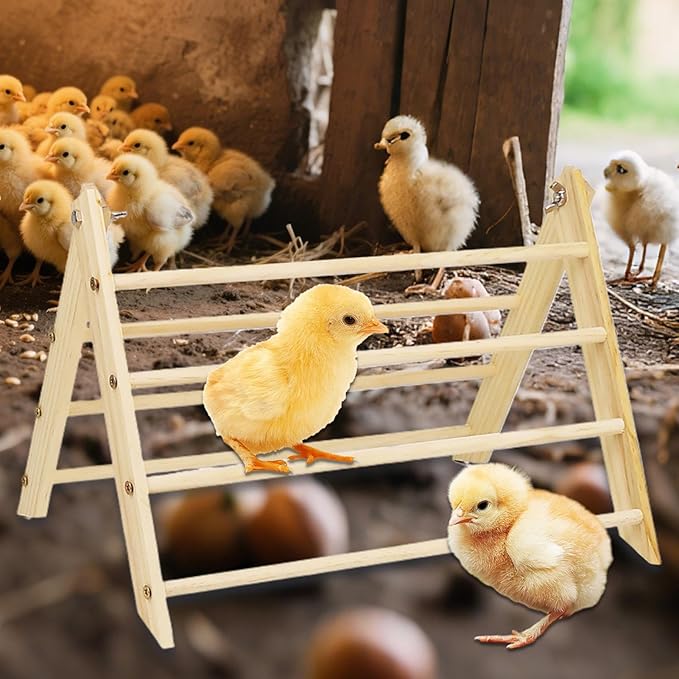 Chicken Perches Roosting Bar – Wooden Coop Perch Stand, Space Saving Portable Structure, Smooth Rounded Edges Design, Stable Support Build, Natural Roosting Comfort | Chicks Hens Outdoor Backyard Poul