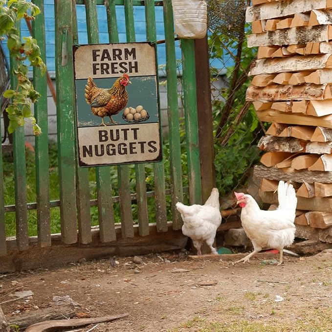 Vintage Metal Signs Chicken Coop Signs for Farmyard Decor, Farm Tin Signs for Home Kitchen Outdoor Decor, Chicken Decor for Country Cottage, Fresh Butt Nuggets 8×12, Chicken Egg Sale Outdoor Décor